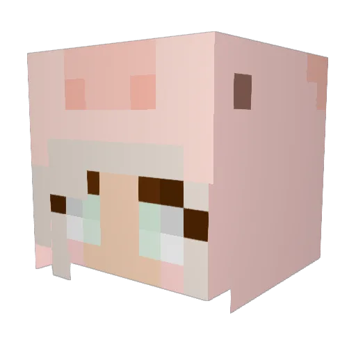 pigzrule95 Minecraft avatar head, 3D render