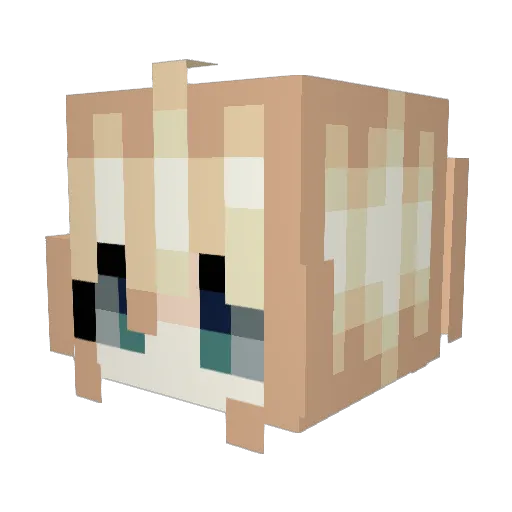 piipewpew Minecraft avatar head, 3D render