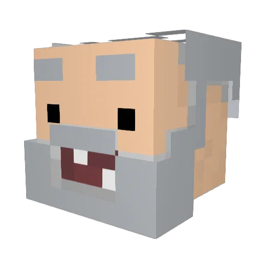 pijany_irek Minecraft avatar head, 3D render