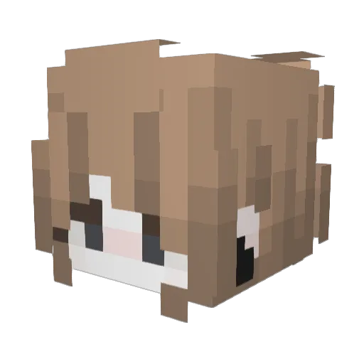 pikachuslayer Minecraft avatar head, 3D render