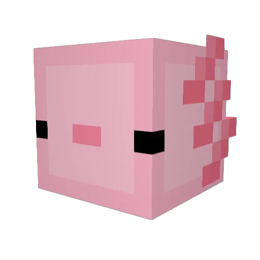 pikaeatscereal Minecraft avatar head, 3D render