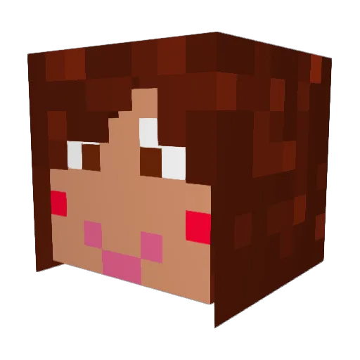pikapanda7067 Minecraft avatar head, 3D render