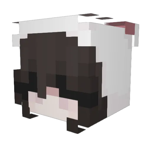 pikateru Minecraft avatar head, 3D render