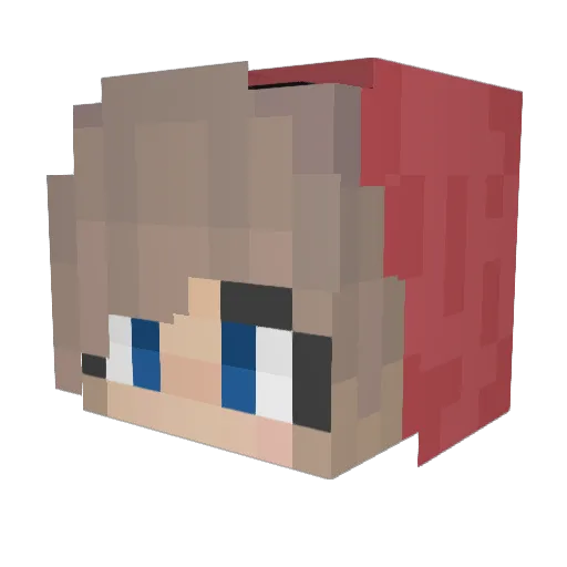 pikipeker Minecraft avatar head, 3D render