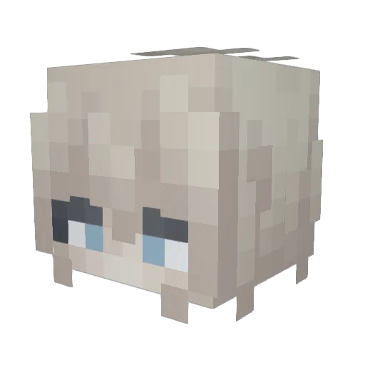 pikmine12 Minecraft avatar head, 3D render