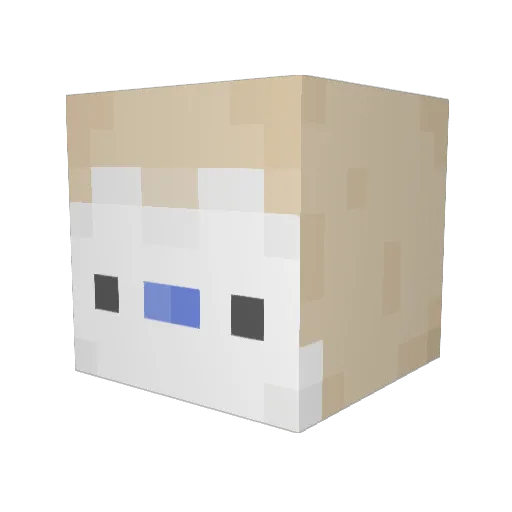 pikopikoko Minecraft avatar head, 3D render