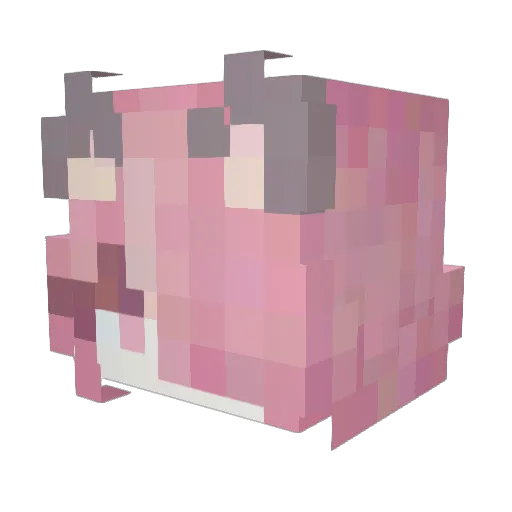 piladearena Minecraft avatar head, 3D render