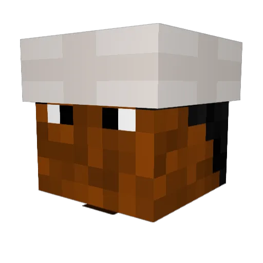 pilkpog Minecraft avatar head, 3D render