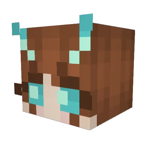 pillbuggi Minecraft avatar head, 3D render