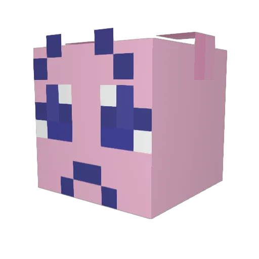 pilleris Minecraft avatar head, 3D render