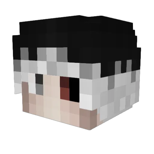 pillow_lover Minecraft avatar head, 3D render