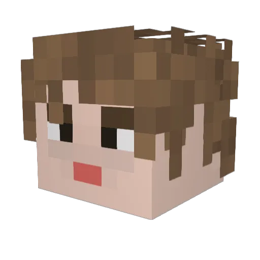 pillsniffer Minecraft avatar head, 3D render