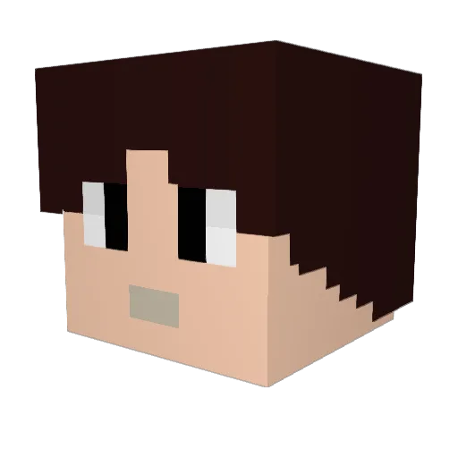 pilly8 Minecraft avatar head, 3D render