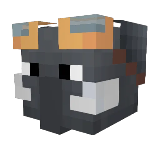 pilon686king Minecraft avatar head, 3D render