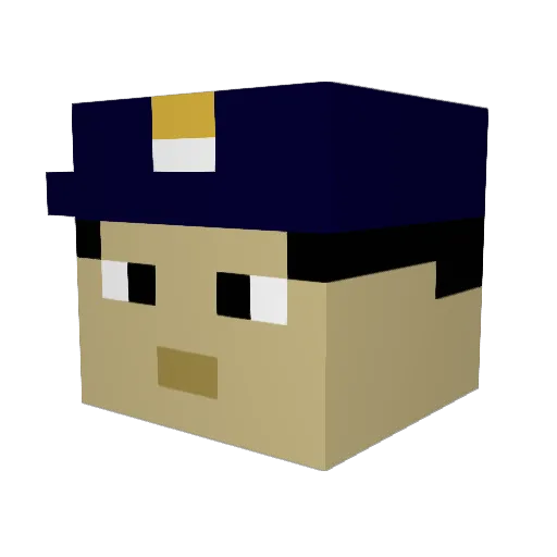 pilot_ryan Minecraft avatar head, 3D render