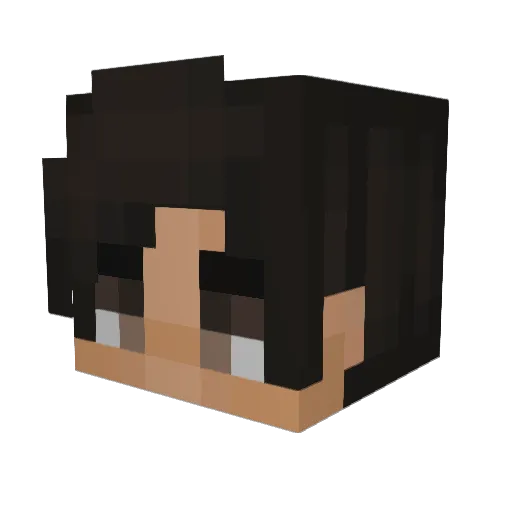 pilotguy1764 Minecraft avatar head, 3D render
