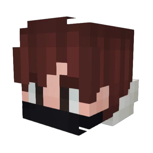 pils2002 Minecraft avatar head, 3D render