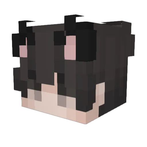 pim4252 Minecraft avatar head, 3D render