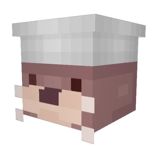 pimeas Minecraft avatar head, 3D render