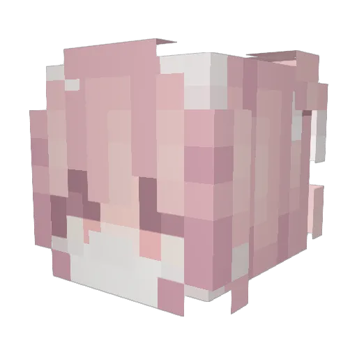 pimkism Minecraft avatar head, 3D render