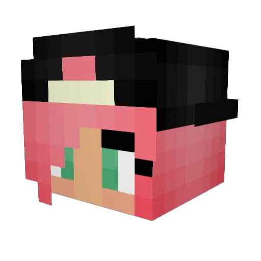 pimmycake Minecraft avatar head, 3D render