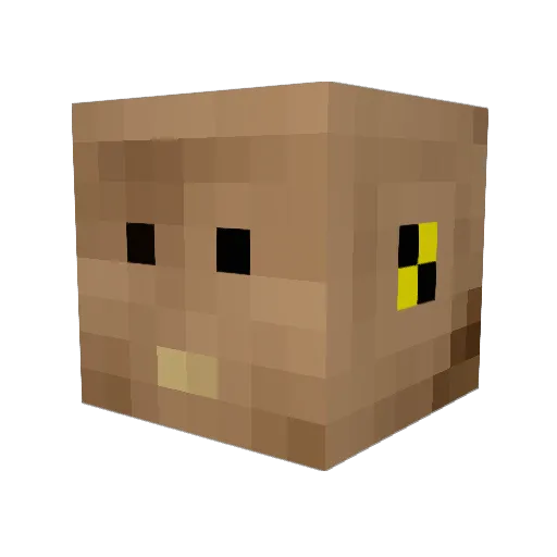 pimpedimpim Minecraft avatar head, 3D render