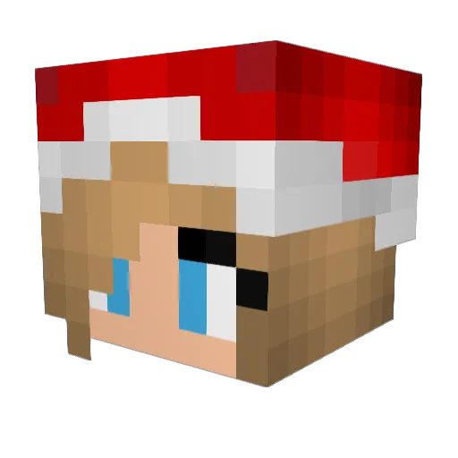 pimpi7 Minecraft avatar head, 3D render