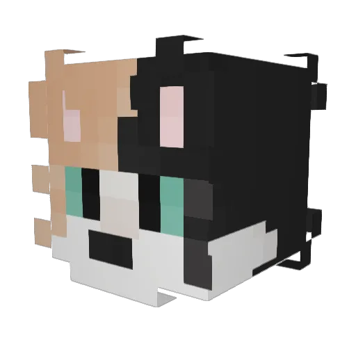 pimpleche1 Minecraft avatar head, 3D render