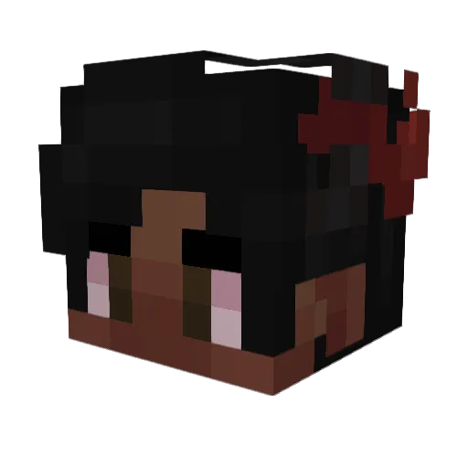 pimptr0pica Minecraft avatar head, 3D render
