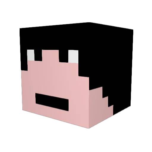pinballplayer Minecraft avatar head, 3D render
