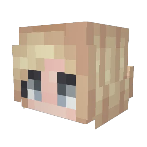 pineapple423 Minecraft avatar head, 3D render