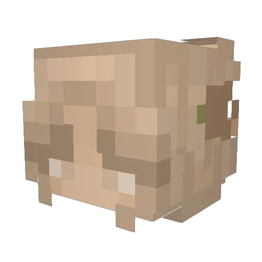 pineapple_boi Minecraft avatar head, 3D render