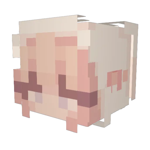 pineapplealy Minecraft avatar head, 3D render