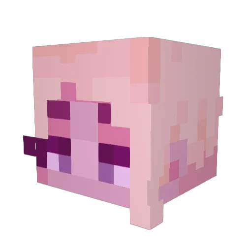 pineappleboye Minecraft avatar head, 3D render