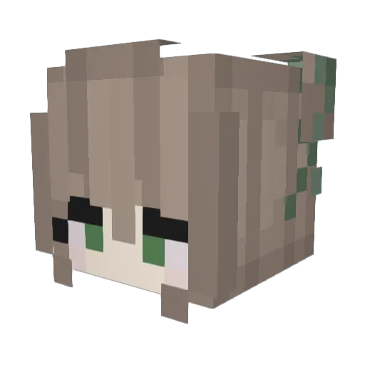 pineapplecake76 Minecraft avatar head, 3D render