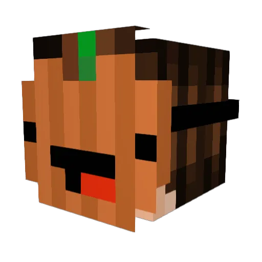 pineapplepizza31 Minecraft avatar head, 3D render