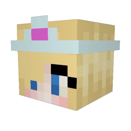 pineapples704 Minecraft avatar head, 3D render