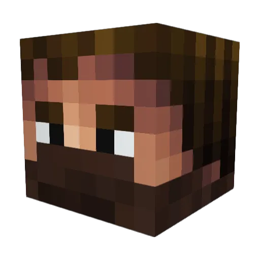 pineappleslayer Minecraft avatar head, 3D render