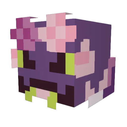 pinepinetree Minecraft avatar head, 3D render