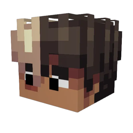 pingiini Minecraft avatar head, 3D render