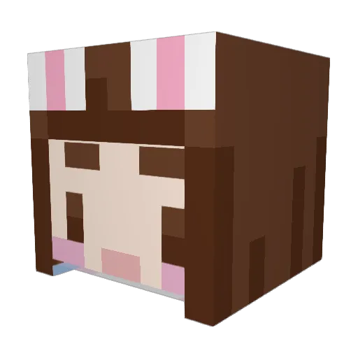 pingpudding_ Minecraft avatar head, 3D render