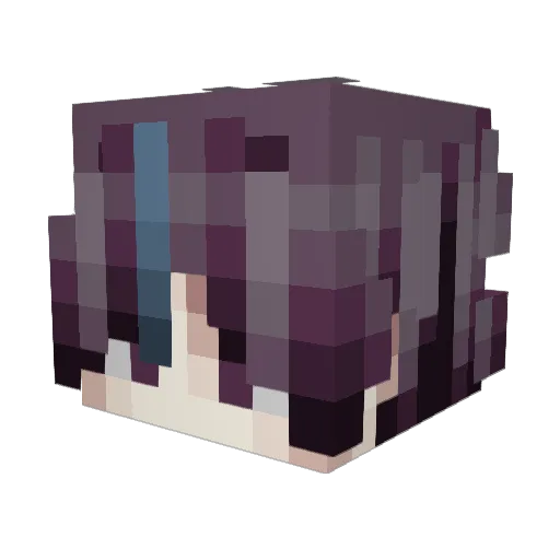 pingu1004 Minecraft avatar head, 3D render