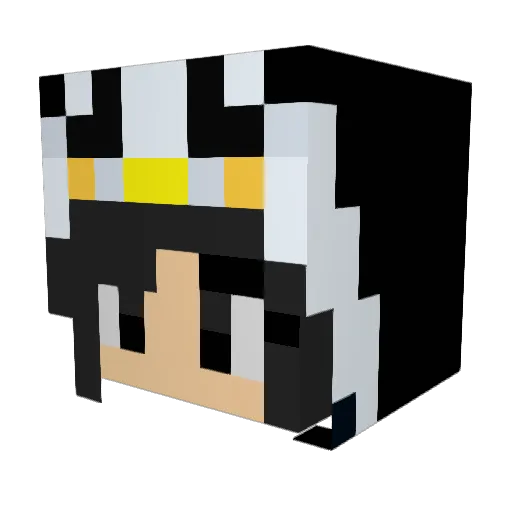 pingu_kdh Minecraft avatar head, 3D render