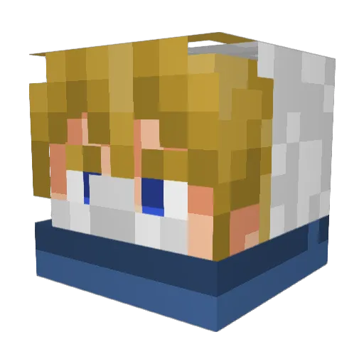 pinguinazo34 Minecraft avatar head, 3D render