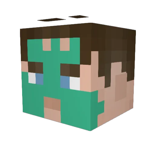 pingvin3364 Minecraft avatar head, 3D render
