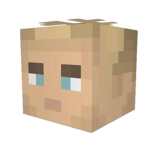 pingvinsportsmen Minecraft avatar head, 3D render