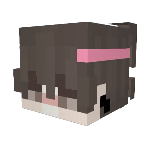 pingwin777 Minecraft avatar head, 3D render
