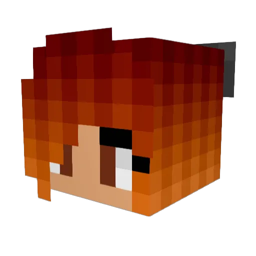 pinhead97 Minecraft avatar head, 3D render