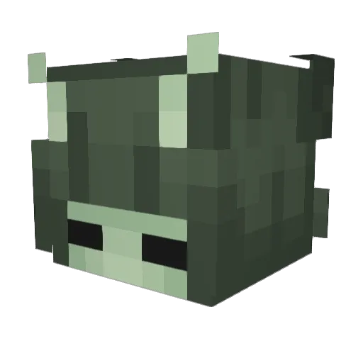 pinheadd_ Minecraft avatar head, 3D render