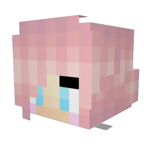 pink911 Minecraft avatar head, 3D render